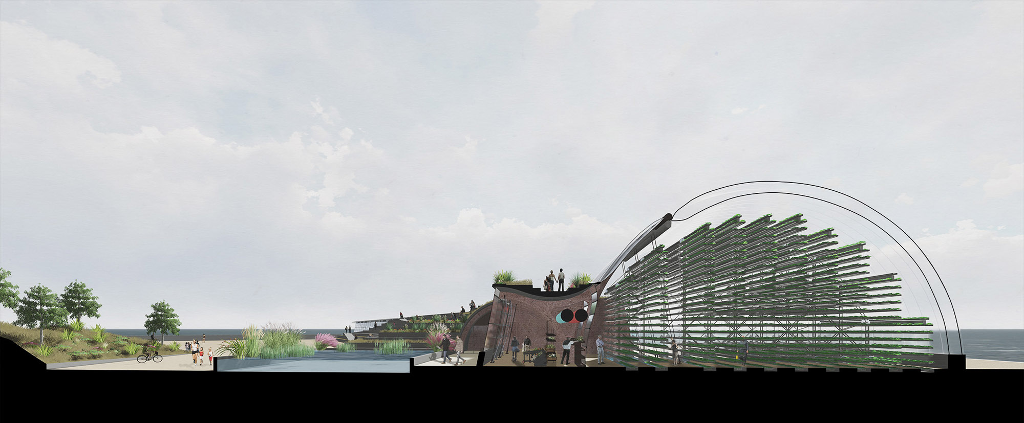 Rendered perspective section